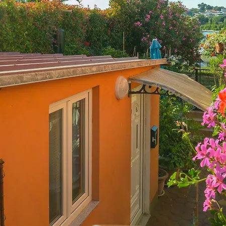 Orange - Garden Terrace *